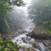 Nature & Vibes Near Sansuhwa Pension