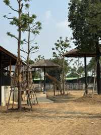 泰國大城包車一日遊 Sriayuthaya Lion Park  動物互動 