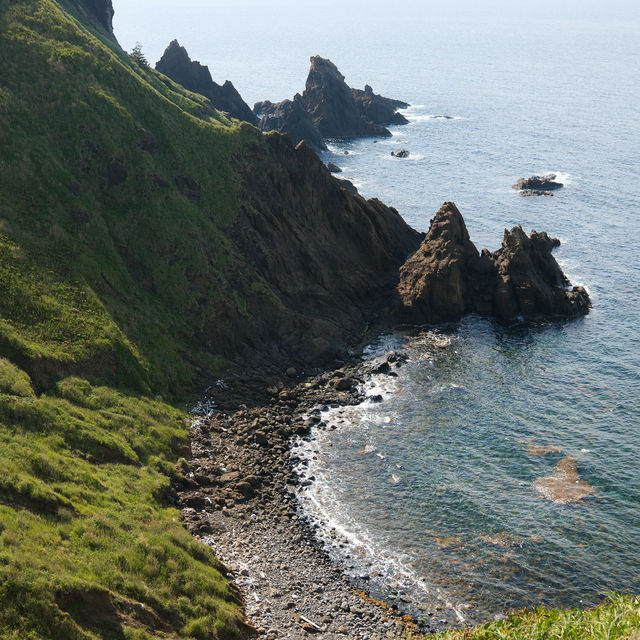 Onogame จุดชมวิวริมทะเล บน เกาะซาโดะ ⛰️🌼🇯🇵