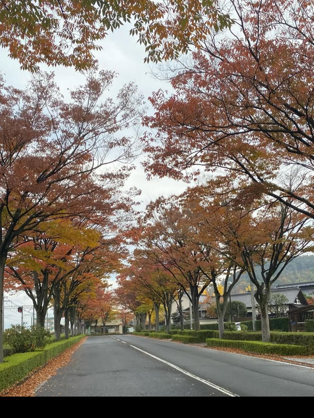 🖼【福島・福島市】福島県立美術館｜東北の自然とアートが出会う場所で静かな感性の旅を