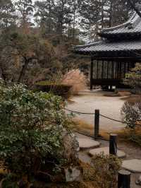 京都·天授庵｜青苔、木廊、錦鯉和古都的慢時間
