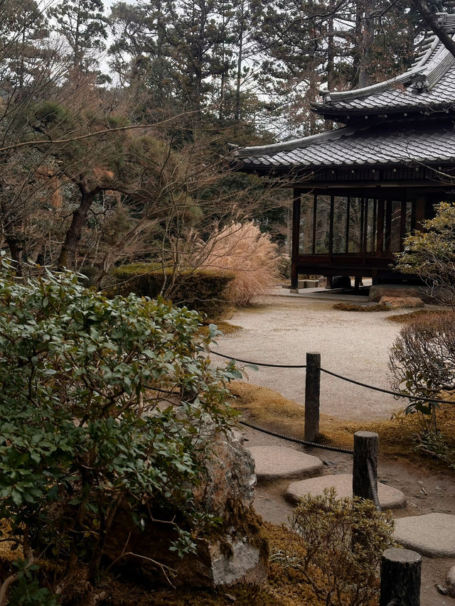 京都·天授庵｜青苔、木廊、錦鯉和古都的慢時間