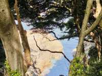 Odong Island: A Serene Coastal Escape Just Steps from Yeosu
