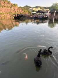 Charming Gubei water town