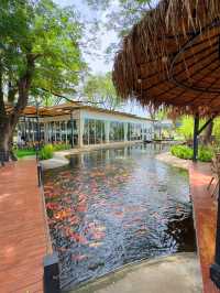  คาเฟ่และร้านอาหารบรรยากาศริมบ่อปลาคาร์ป