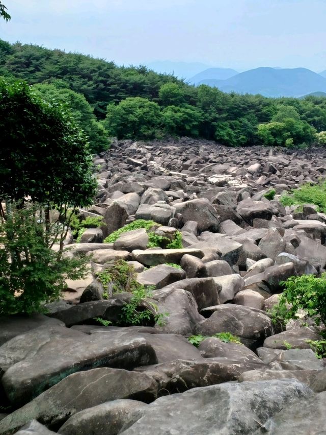 가족과 함께 걷는 기암의 산책길