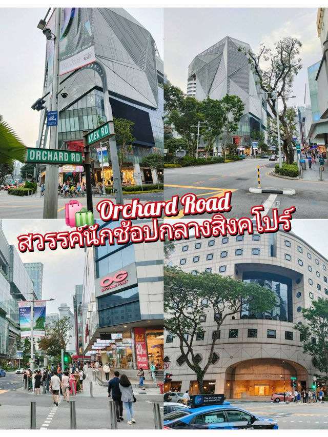 🛍️ Orchard Road – สวรรค์นักช้อปกลางสิงคโปร์