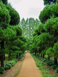 A Sweet Little Escape at Agape Garden