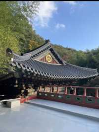📍 양산 속 비밀 정원, 홍룡폭포에서 여름 한 모금