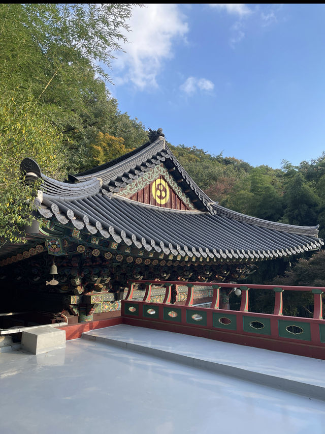📍 양산 속 비밀 정원, 홍룡폭포에서 여름 한 모금