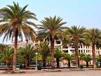 Grand Mosque of Shadian