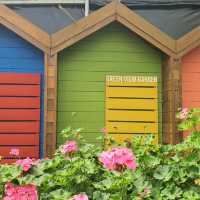 Colorful Green View Garden in Cameron Highlands
