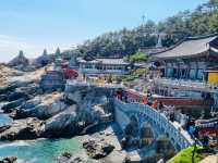 海と共鳴する神聖な空間、海東龍宮寺