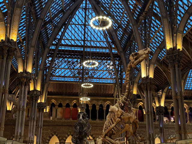 Oxford's Hidden Gem: The Pitt Rivers Museum 🇬🇧✨