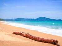 Airplane Landing with Paradise