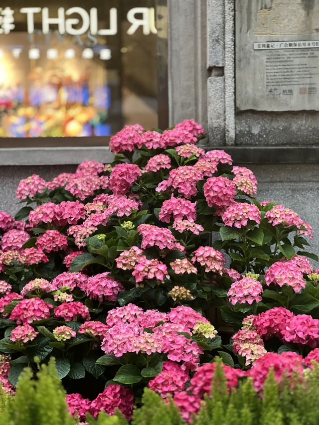 Rainy day in Tianzifang