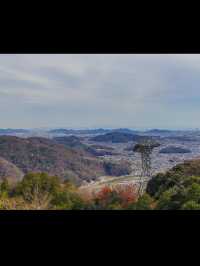 【書写山圓教寺】静寂と荘厳が包む、心を整える山寺旅🧘‍♀️✨