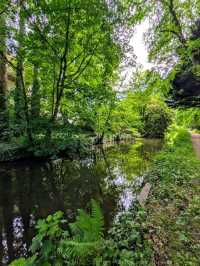Bute Park