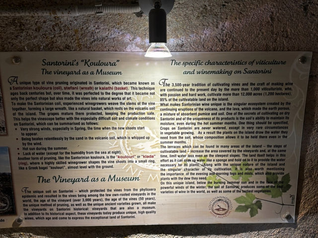 My Accidental Discovery: Santorini's Koutsogiannopoulos Wine Museum! 🍇🍷