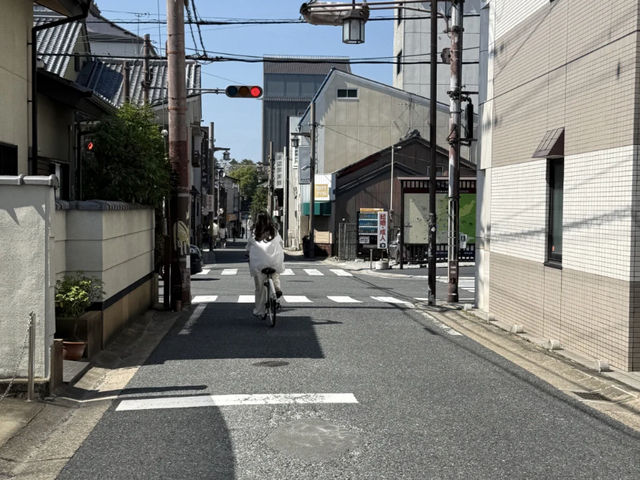 My Nara Deer Encounter: Cute Bows and Heartfelt Curry! 🦌🍛