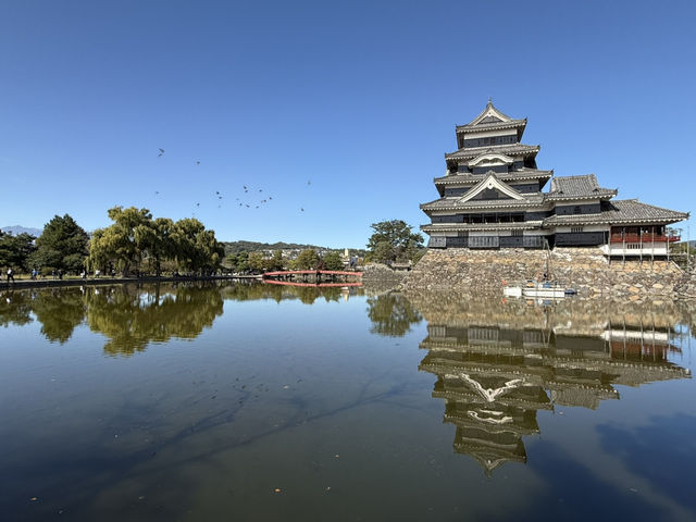 松本的國寶級名城🏯