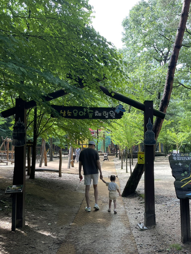 상소동 산림욕장에서 여름을 보내요🌿