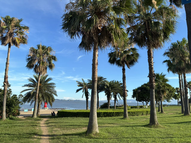 廈門的絕美環島路線！🏝️🐚  