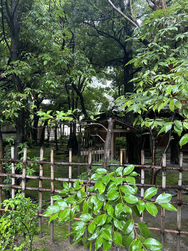 일본 여름을 느낄 수 있는 후쿠오카 정원카페 🌿