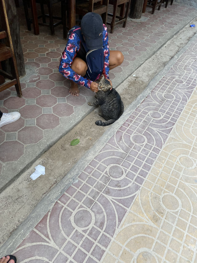 รีวิวเกาะพีพี กระบี่