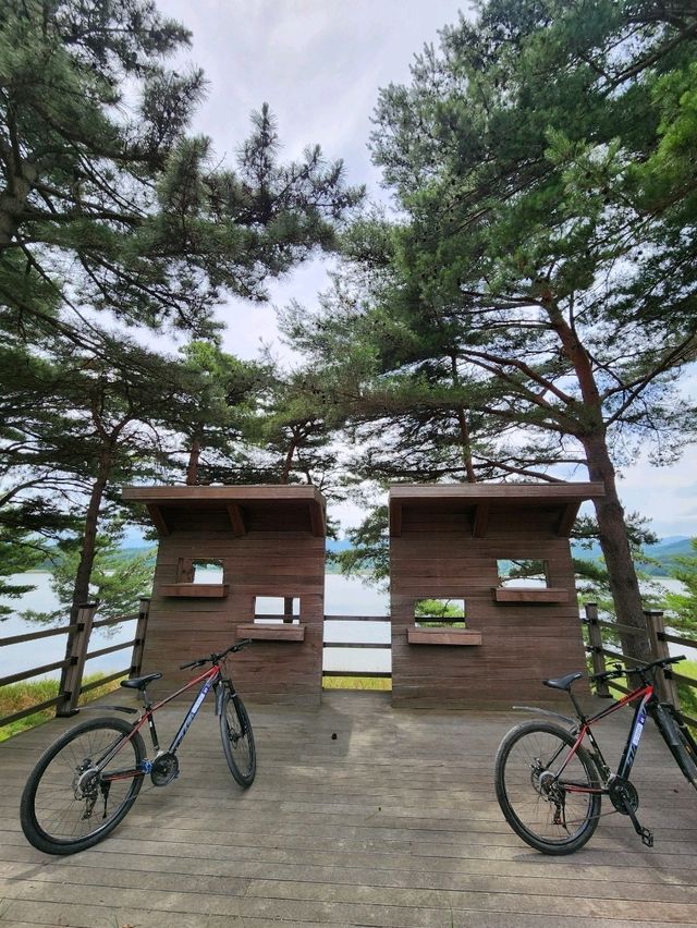 💖고성여행 중 자전거로 특별한 추억을 남겨요 "송지호 둘레길 자전거대여소💖