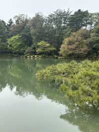 兼六園：盛夏中的翠綠天地 🍃🌞