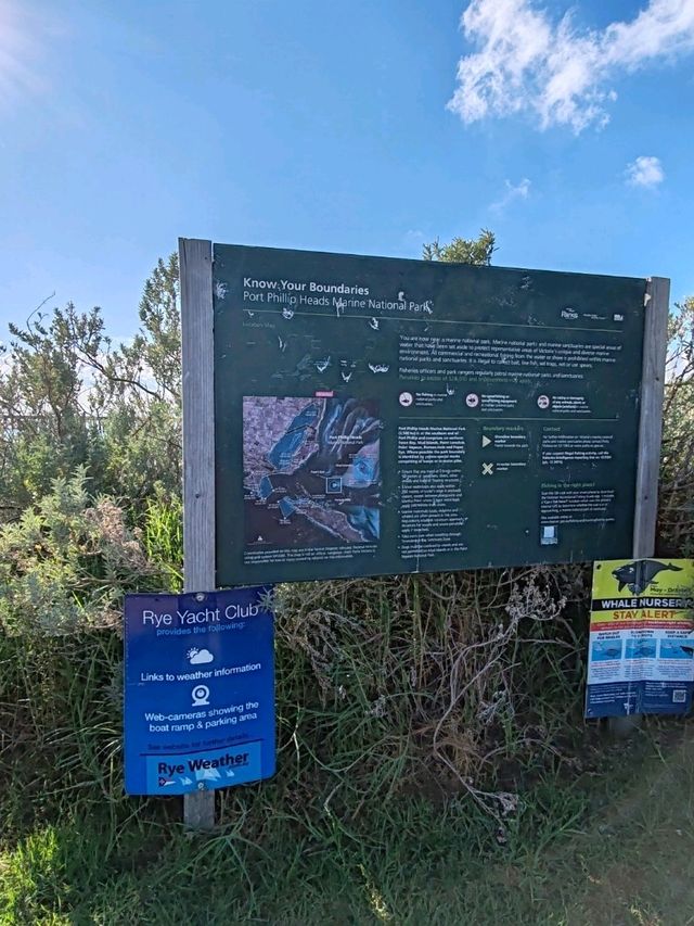 Rye Beach：莫宁顿半岛最适合家庭游玩的浅水海滩