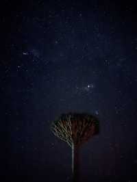 Socotra: A journey to Earth’s alien paradise