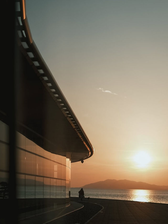 🌅島根・松江｜宍道湖｜夕日に染まる湖畔で、心ほどける絶景のひととき🦢✨