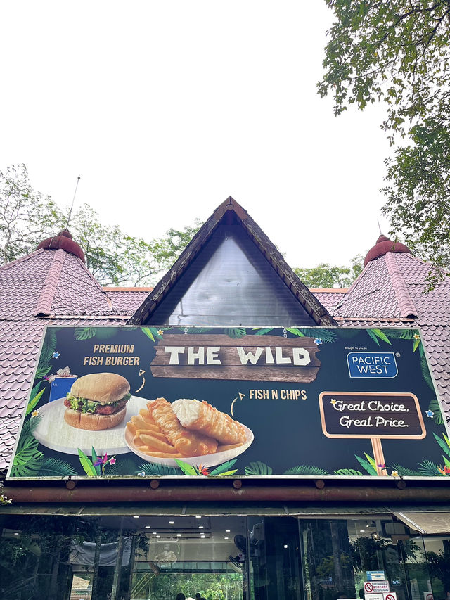 The Wild Restaurant – A Rainforest-Inspired Fast Food Haven 