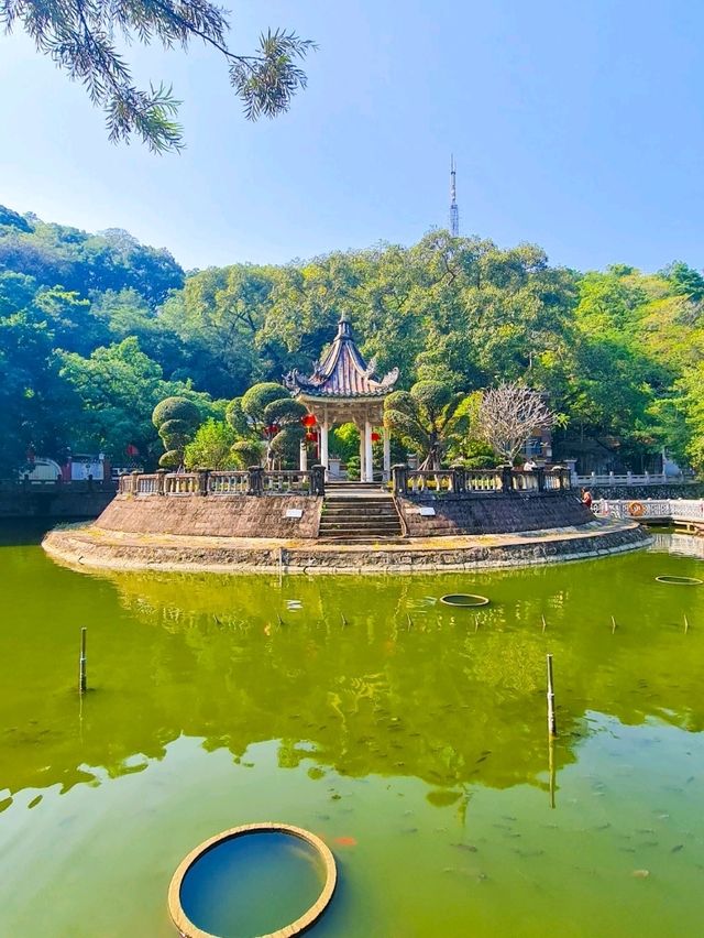 一个人慢游潮州：胃小但风景太大，食不尽、走不完