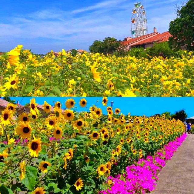 長井海之手公園