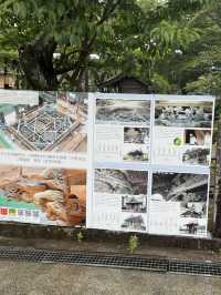 🏯 阿蘇神社（Aso Shrine）— 約2,500年の歴史を持つ肥後国一の宮