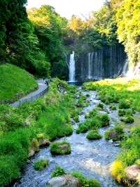 Whispers of Water: Shiraito Falls in Fujinomiya