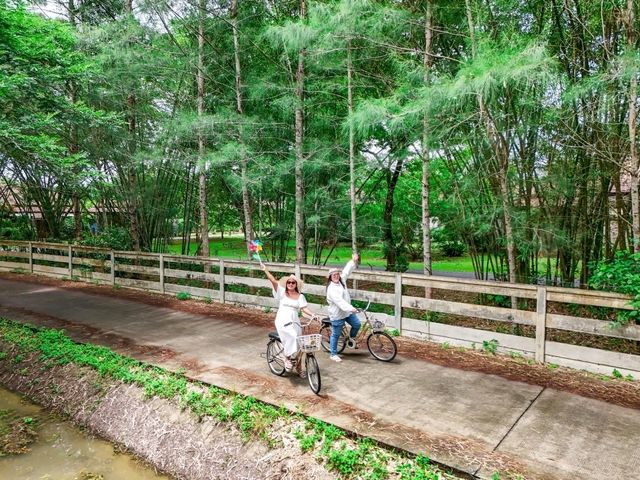 สัมผัสธรรมชาติอย่างใกล้ชิด 🌳 Borsaen Villa