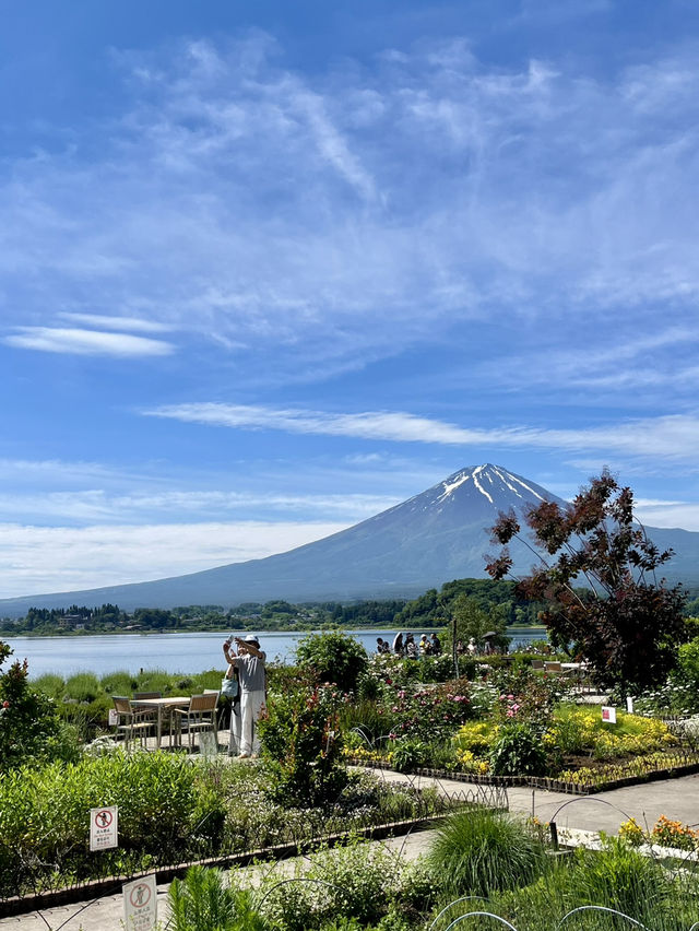 🌿✨ รีวิว Oishi Park (大石公園) ต้นเดือนมิถุนายน  