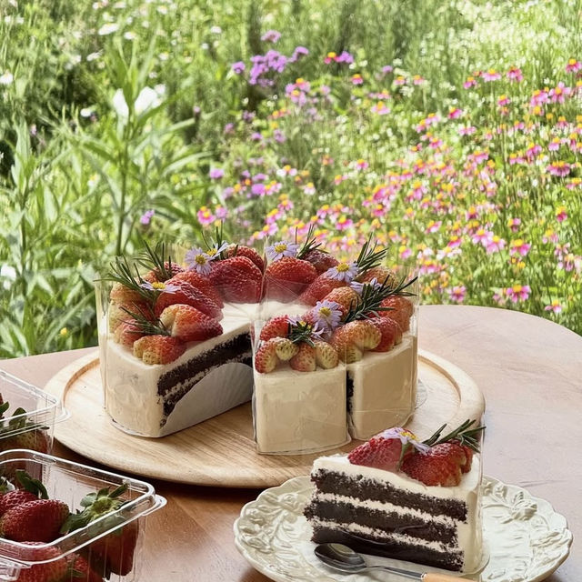 Donghouse Khaoyai — มุมสงบกลางเขาใหญ่