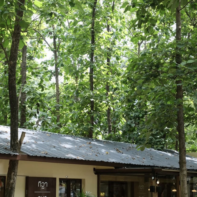 ทิวา & รษา Thai Kitchen and cafe