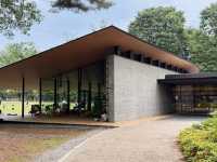 MUFG PARK Library – Tokyo’s Forest Bookshelf Retreat