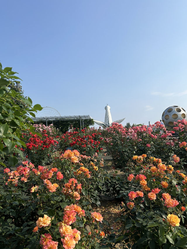 【大阪】🌸🌻万博記念公園で映えスポット巡り！太陽の塔に感動✨