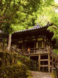 Summer Visit to Otagi Nenbutsuji Temple (愛宕念仏寺) – Kyoto’s Whimsical Stone Buddha Haven** 🗿🌿