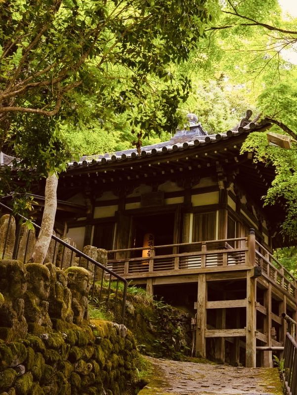 Summer Visit to Otagi Nenbutsuji Temple (愛宕念仏寺) – Kyoto’s Whimsical Stone Buddha Haven** 🗿🌿