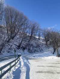 Daegwallyeong คังวอนโดเกาหลี 🇰🇷❄️