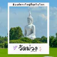 องค์ใหญ่ที่สุด🤩พระพุทธรูปที่นี่ วัดม่วง