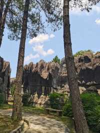 Wansheng Stone Forest 🌳 ☀️ 